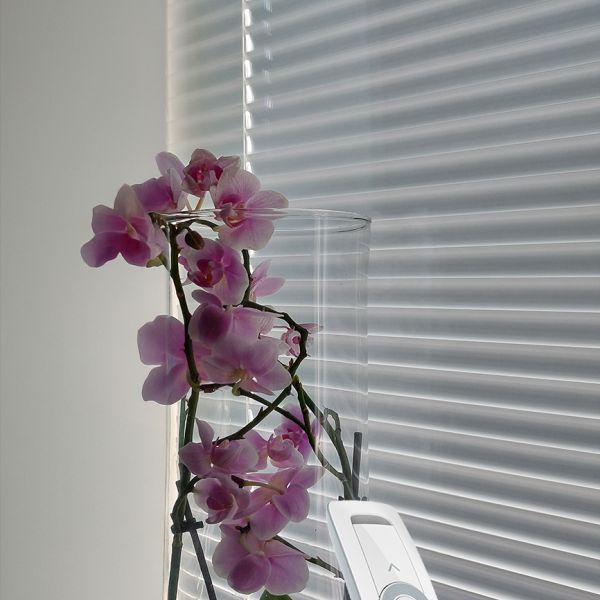 Moottoroidut sälekaihtimet