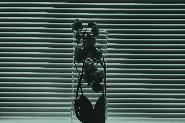 Osio kotiin - sälekaihtimet