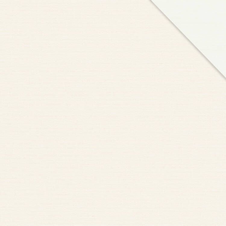 1001 AntaresBO 1000 white