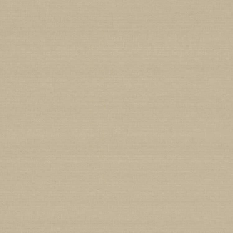 1000 Antares 2349 dark-beige