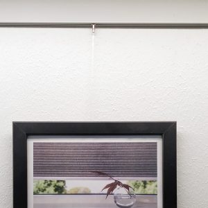 Osio tauluripustuskisko